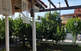 Ta Spitakia Olympiada